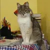 Отзыв от Алевтина Козырева